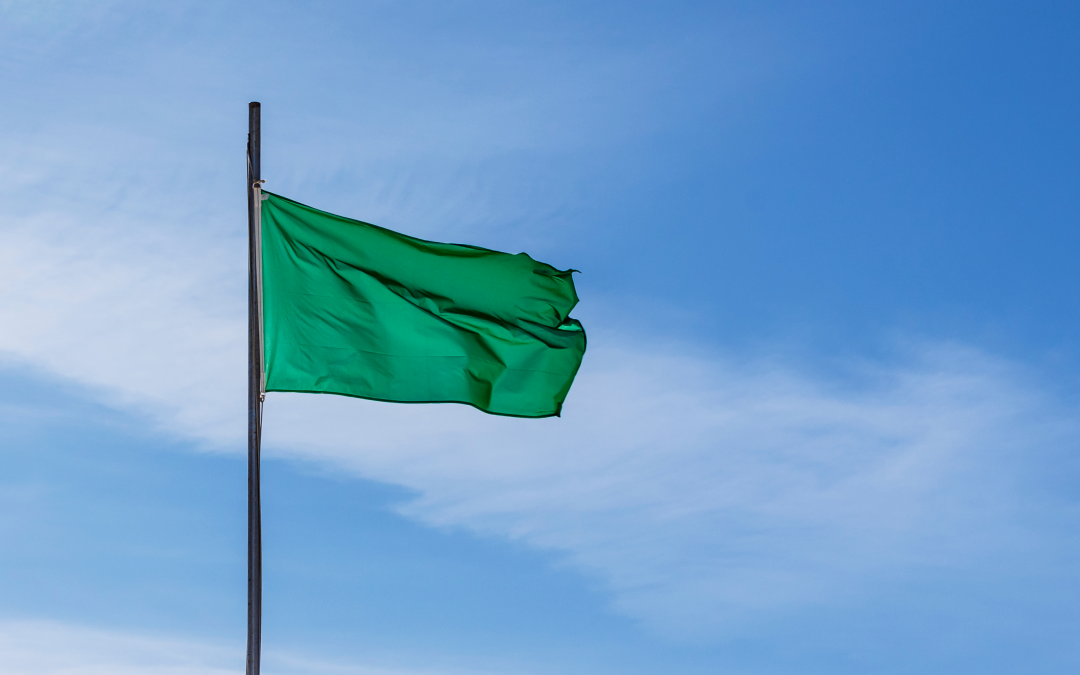 Green Flags To Look For in a Potential Employer